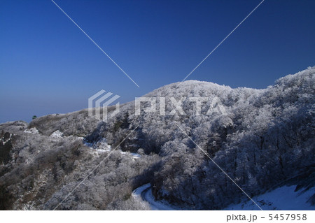 雪の護摩壇山 5457958