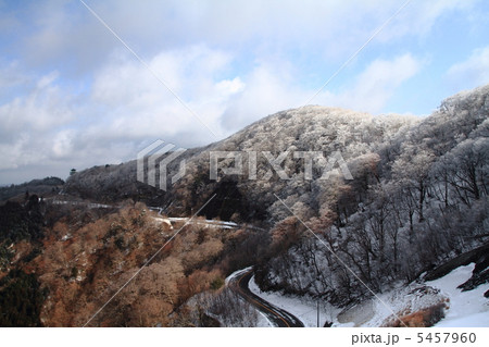 冬の護摩壇山 冬の護摩壇山 5457960