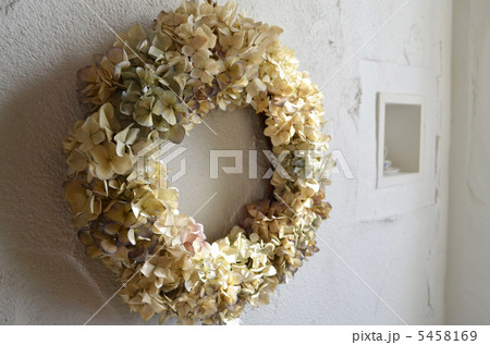 ドライリース 5458169