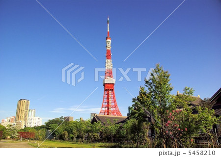 東京タワー 東京タワー 5458210