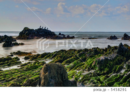 南房総の風景 南房総の風景 5458291