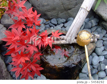 京都散歩 京都散歩 5458292