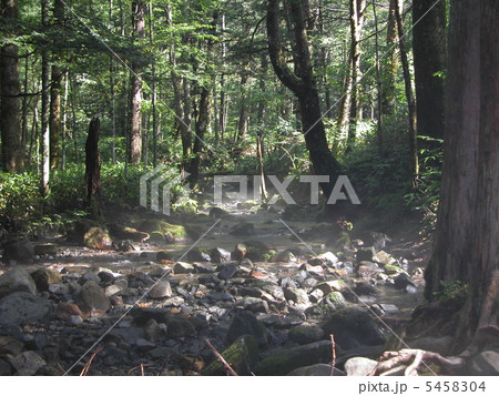 森の小川 5458304