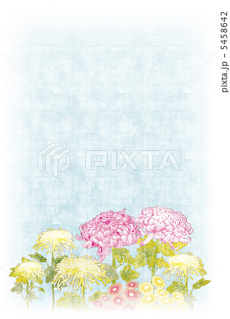 菊の花々（縦） 5458642