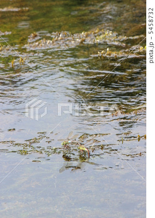 次世代創造 5458732