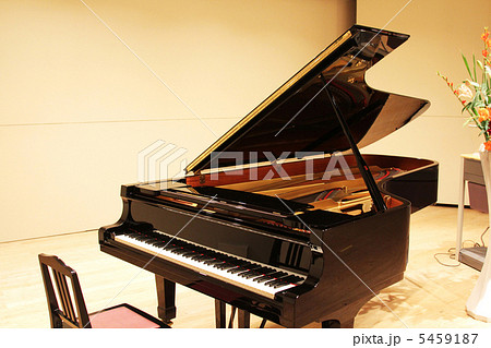 グランドピアノ2 グランドピアノ2 5459187