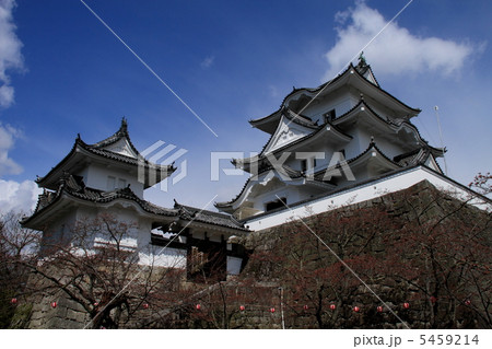伊賀上野城・天守2 5459214