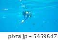 シュノーケル 5459847