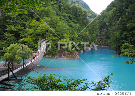 夢の吊橋 5459872