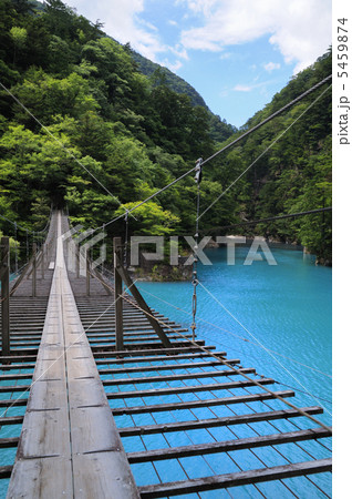 夢の吊橋 夢の吊橋 5459874