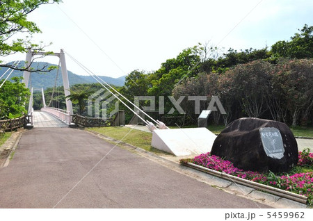 聖紫花の橋 5459962