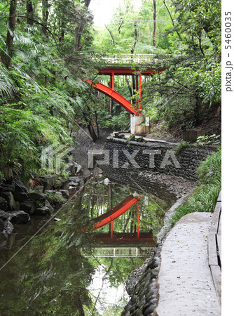 等々力渓谷3 5460035