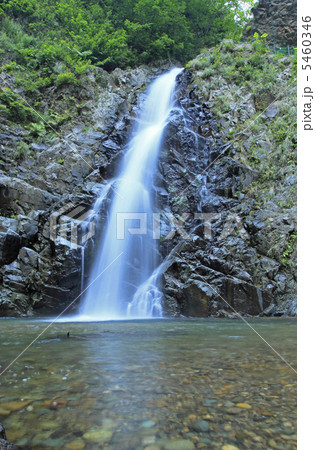 白神山地の暗門の滝 5460346