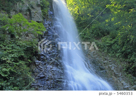 白神山地の暗門の滝 5460353