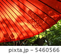 和傘と紅葉 5460566
