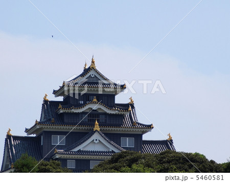 夏の日の岡山城 夏の日の岡山城 5460581