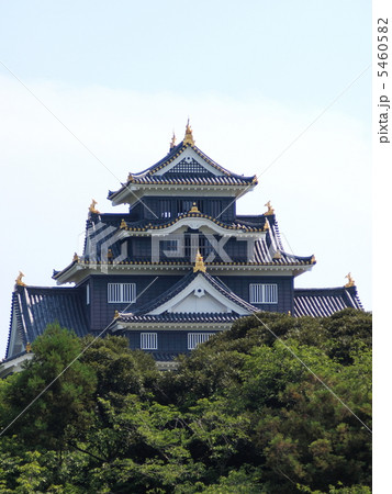 夏の日の岡山城 夏の日の岡山城 5460582