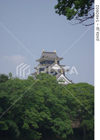 夏の日の岡山城 夏の日の岡山城 5460602