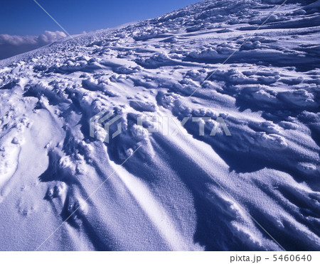 地蔵山の風雪紋 5460640