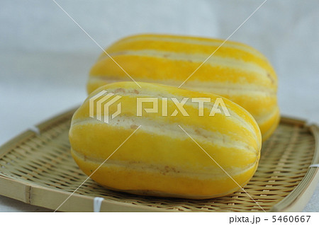 マクワウリ マクワウリ 5460667