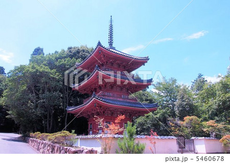 真夏の井山宝福寺 5460678