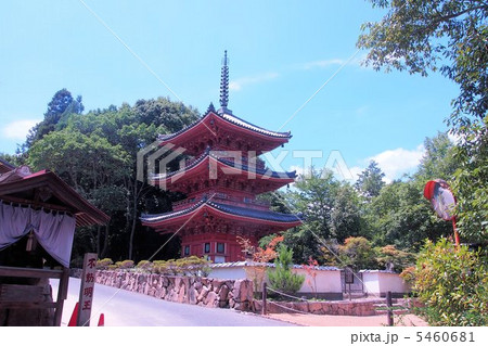 真夏の井山宝福寺 真夏の井山宝福寺 5460681