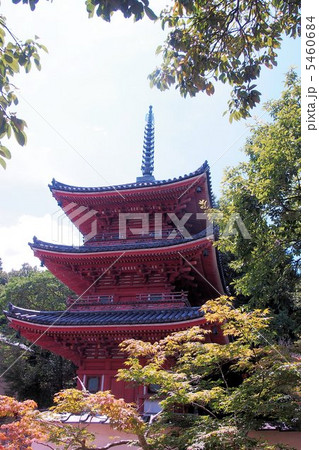 真夏の井山宝福寺 真夏の井山宝福寺 5460684