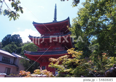 真夏の井山宝福寺 真夏の井山宝福寺 5460685