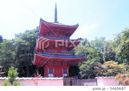 真夏の井山宝福寺 5460687