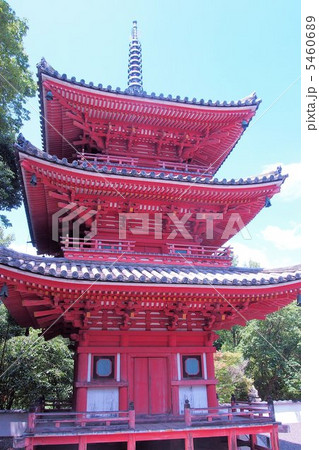 真夏の井山宝福寺 5460689