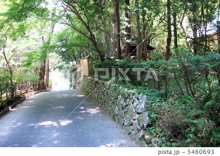 真夏の井山宝福寺 5460693
