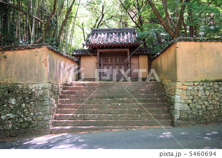 真夏の井山宝福寺 真夏の井山宝福寺 5460694