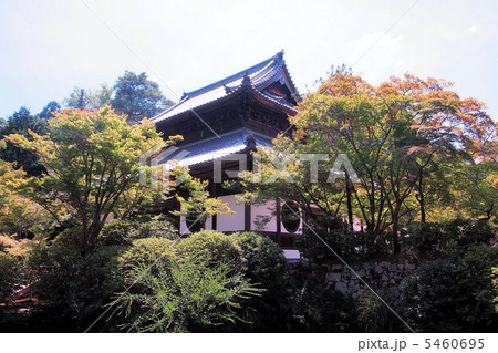 真夏の井山宝福寺 5460695