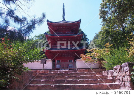 真夏の井山宝福寺 5460701