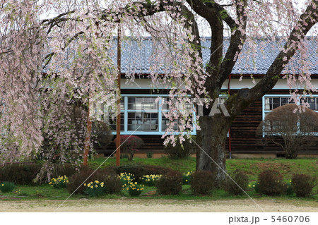 レトロな校舎 5460706