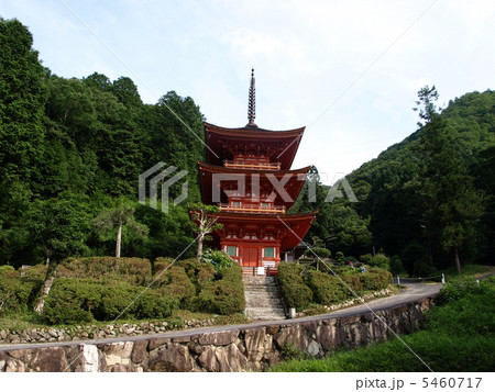 夏の長福寺三重塔 5460717