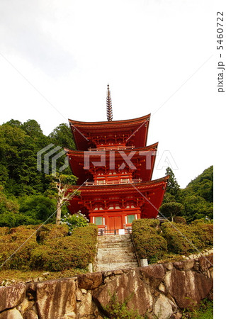 夏の長福寺三重塔 夏の長福寺三重塔 5460722