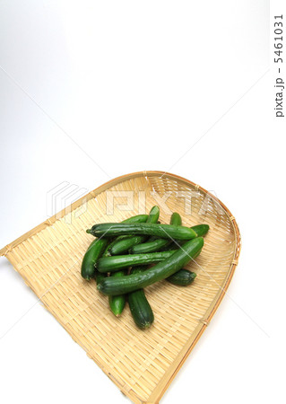 ミニきゅうり ミニきゅうり 5461031