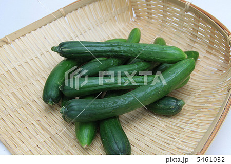 ミニきゅうり 5461032