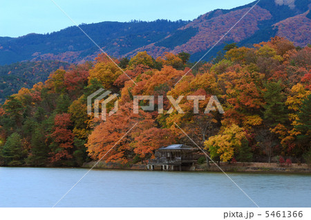 水辺の紅葉 5461366