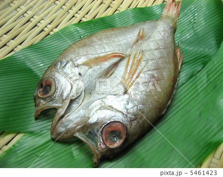 のどぐろ　干物 5461423