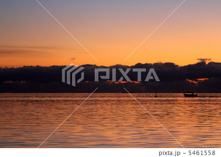 タヒチ タヒチ 5461558