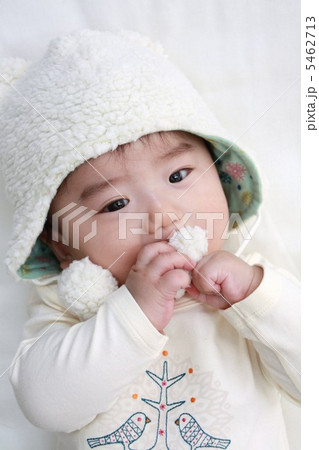 もこもこ 5462713