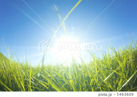 草原と光芒 草原と光芒 5463609