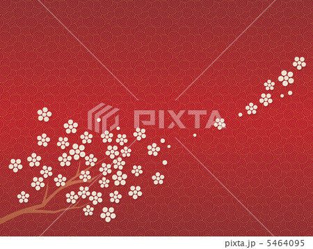 真珠の花 真珠の花 5464095
