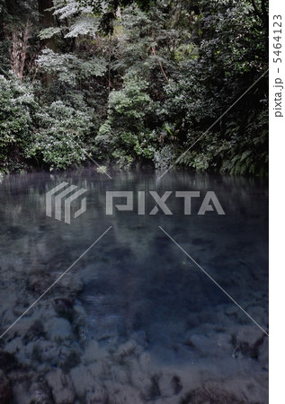 塩井社水源、湧水の泉 5464123