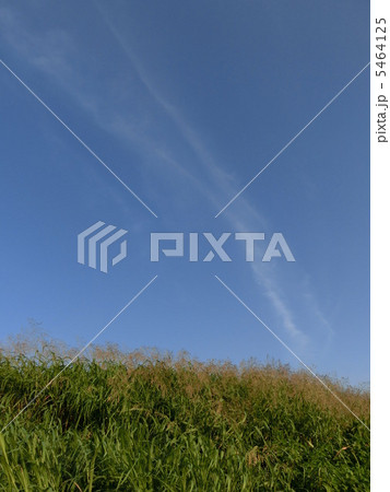あおぞらと野原 5464125