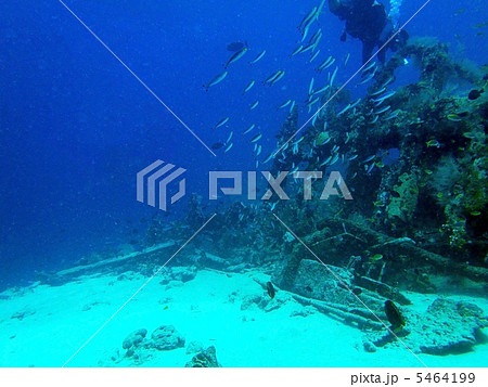 セブの沈没船 5464199