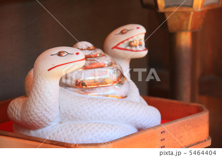 白蛇 白蛇 5464404