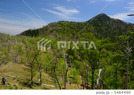 釈迦ヶ岳を望む 5464490